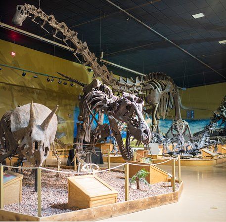 Wyoming Dinosaur Center